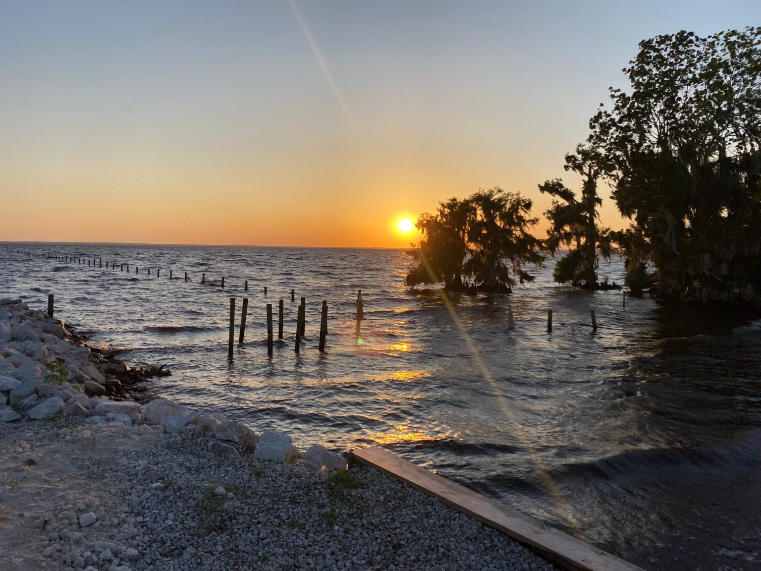 Pine Island entrance road at sunset with palm trees and white fence