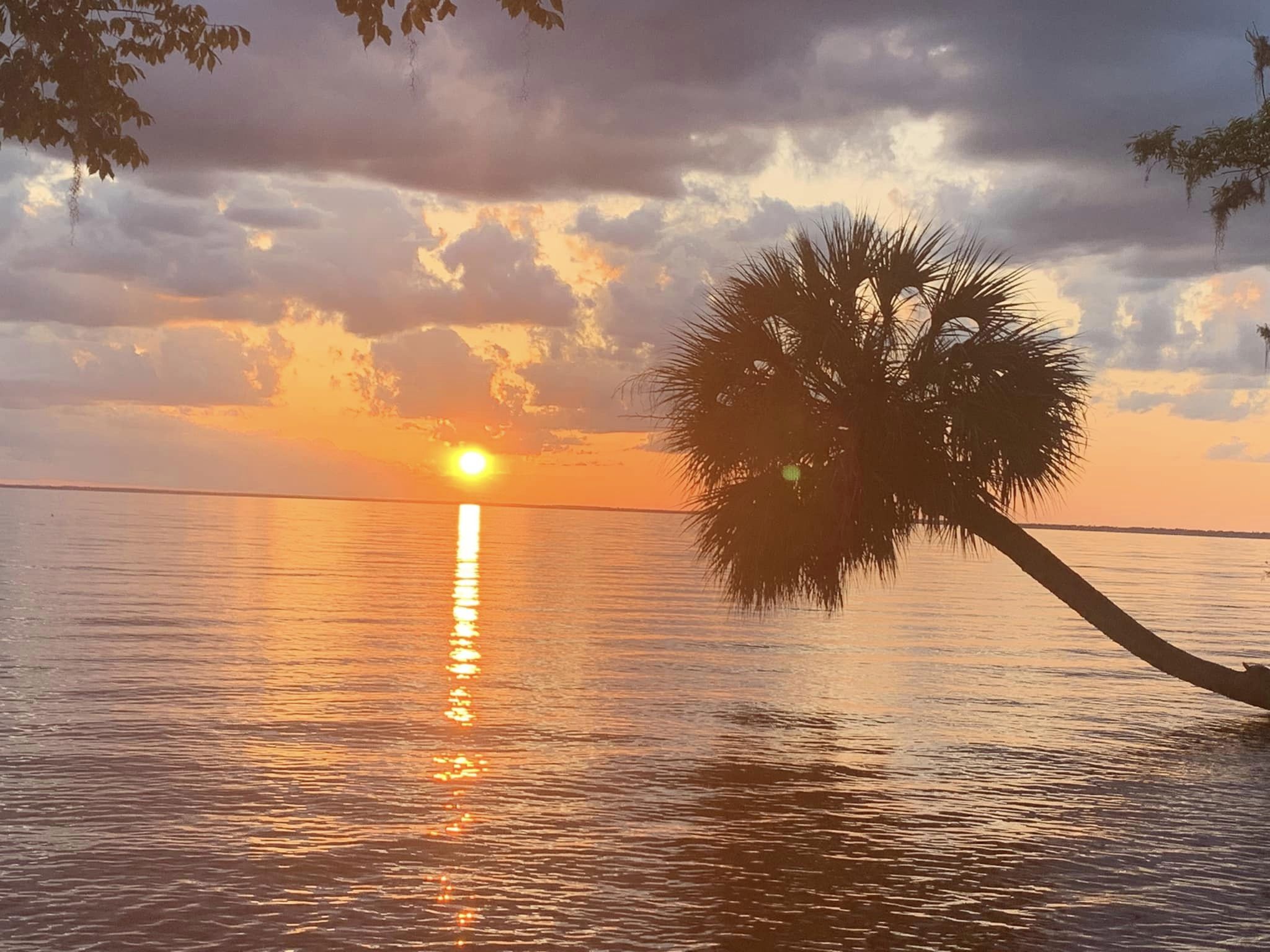 Milky Way over Pine Island with palm trees and lakefront