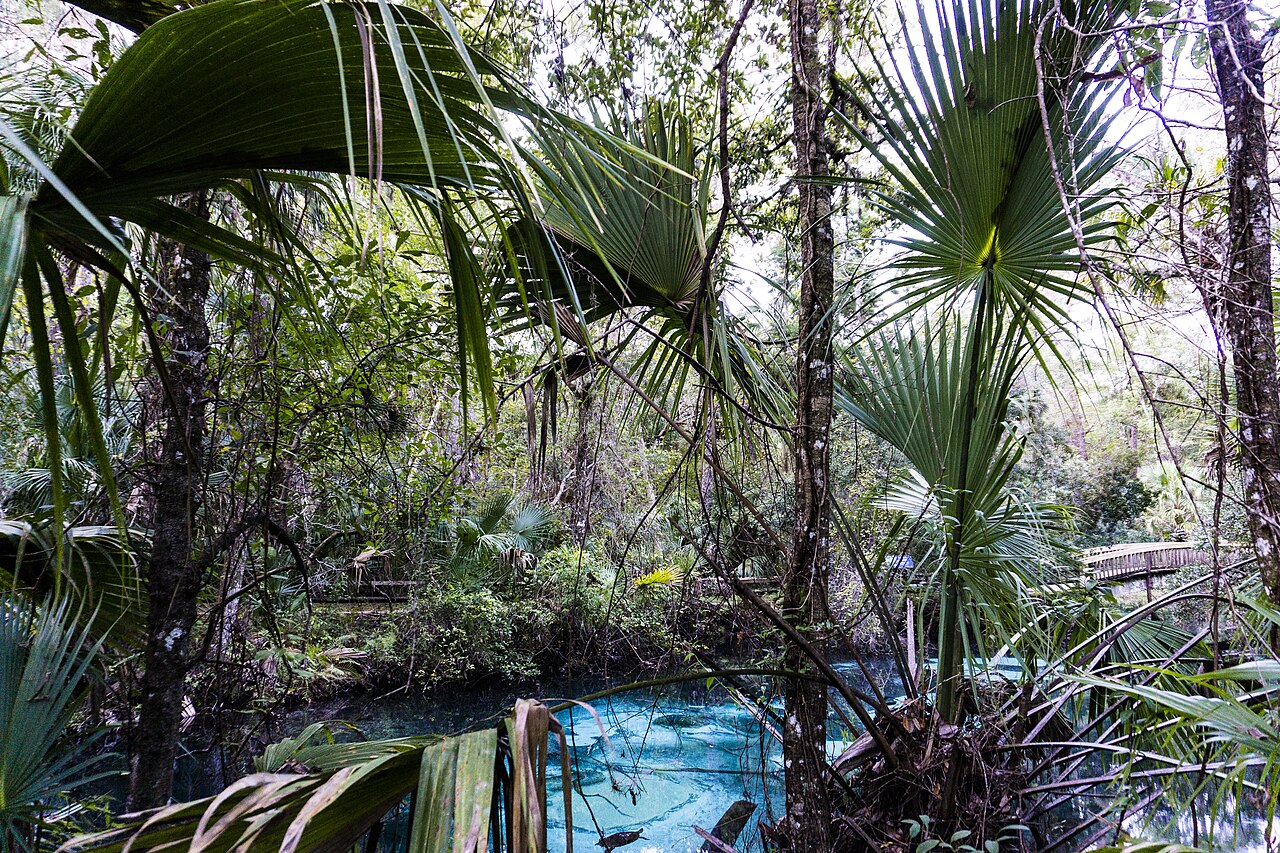 Juniper Springs in Ocala National Forest