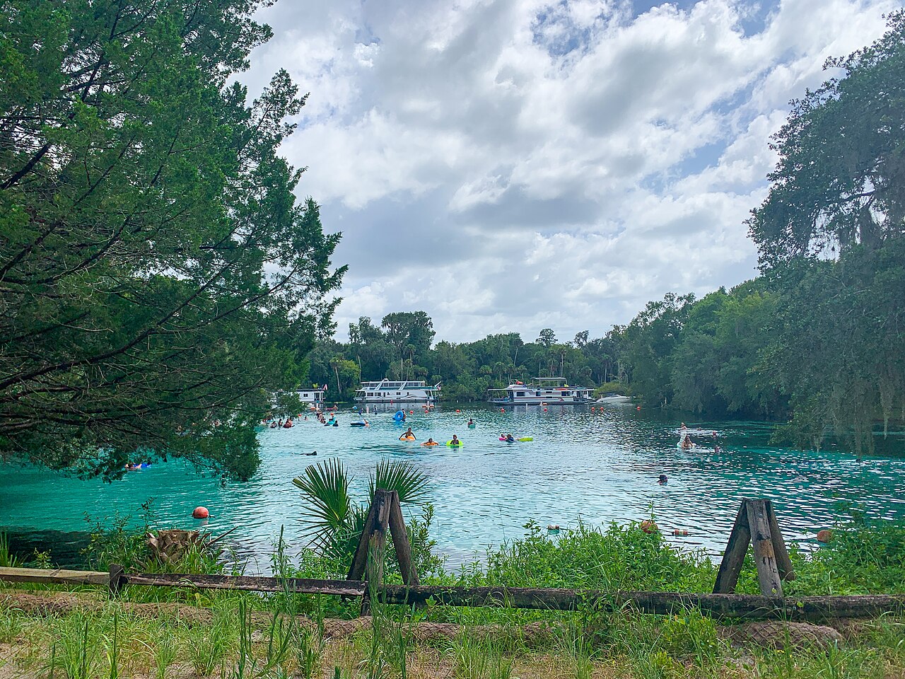 Crystal clear waters at Silver Glen Springs