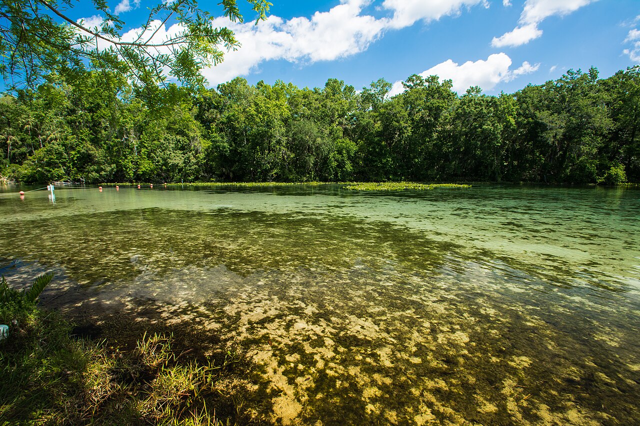 Alexander Springs crystal clear swimming hole